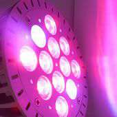 LED�Ӫ��O �Ӫ��ͪ��O 24w